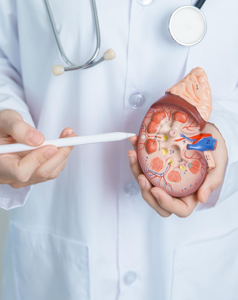 Urología familiar en Cajamarca Perú